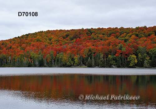 Algonquin Provincial Park, Ontario